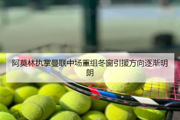 阿莫林执掌曼联中场重组冬窗引援方向逐渐明朗